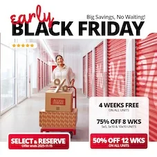 Access Storage - Blenheim Promotion