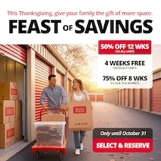 Access Storage - Blenheim Promotion