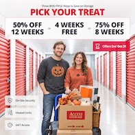 Access Storage - Blenheim Promotion