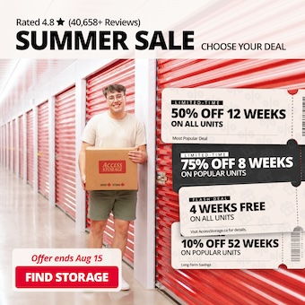 Access Storage - Blenheim Promotion